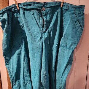 **Lane Bryant Teal Pants – Size 28**